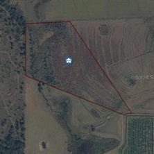 LOT JOHNSTON RD, ZOLFO SPRINGS, FL 33890